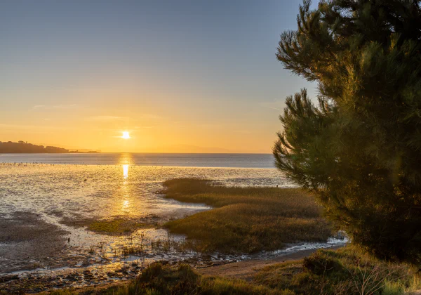 Hercules, California